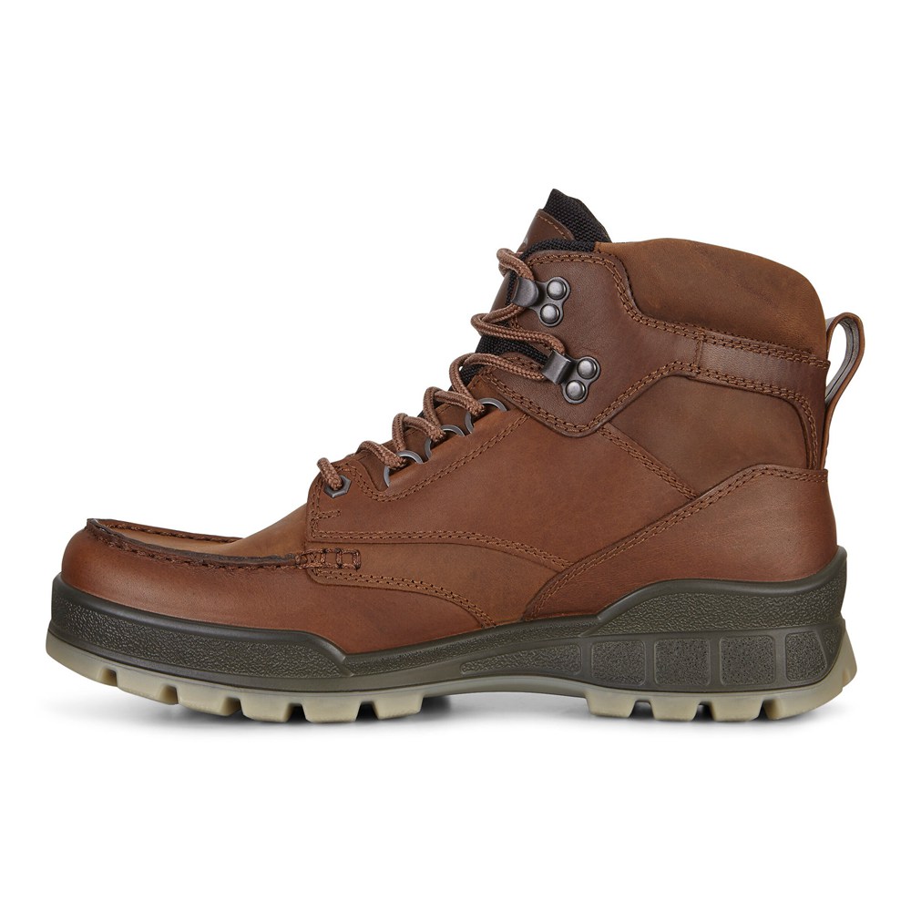 Mens Hiking Shoes - ECCO Track 25 High - Brown - 2930TFJUO